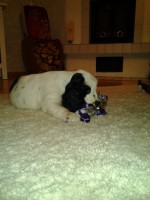 /album/patu/patun-seisonta-046-jpg/